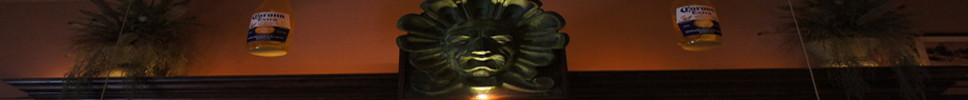main banner